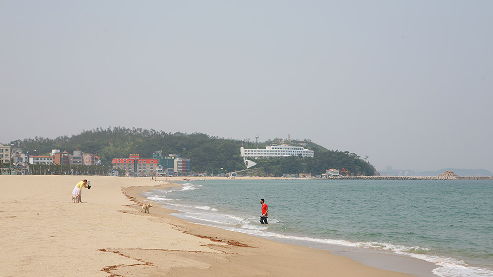 하단내용 참조